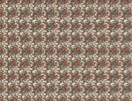 3D Stereogram Illusion